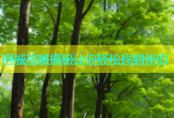 同城攻略揭秘让你轻松找到伴侣