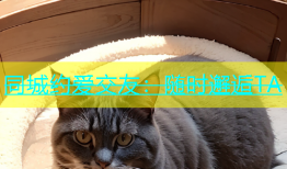 同城约爱交友：随时邂逅TA