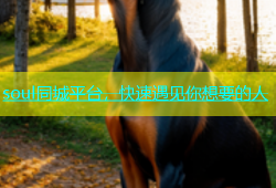 soul同城平台，快速遇见你想要的人