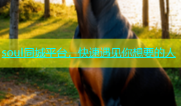 soul同城平台，快速遇见你想要的人