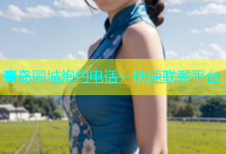 青岛同城炮约电话：快速联系平台