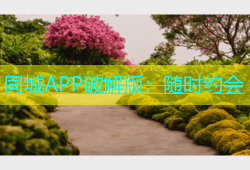 同城APP破解版：随时约会