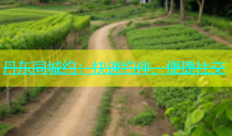 丹东同城约：快速约伴、便捷社交