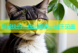 同城快约：线上聊天，线下见面