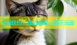 同城快约：线上聊天，线下见面
