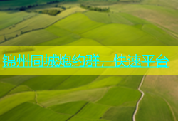 锦州同城炮约群，快速平台
