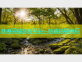蚌埠同城交友平台，快速找到伴侣