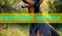 同城约单下载安装，快速约单平台