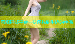 紫阳同城平台，快速找到附近的伴侣