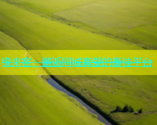 缘来客：邂逅同城真爱的最佳平台