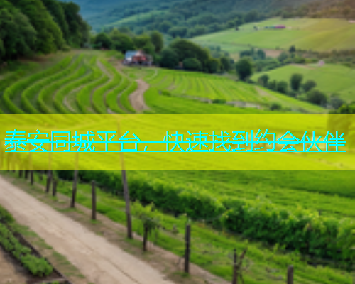 泰安同城平台，快速找到约会伙伴