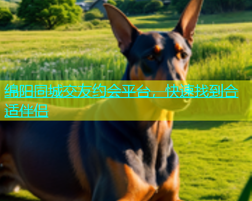 绵阳同城交友约会平台，快速找到合适伴侣