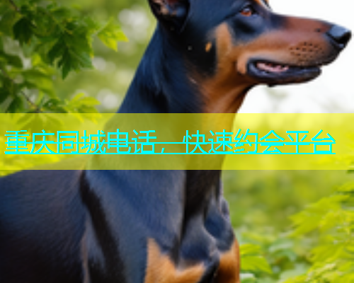 重庆同城电话，快速约会平台