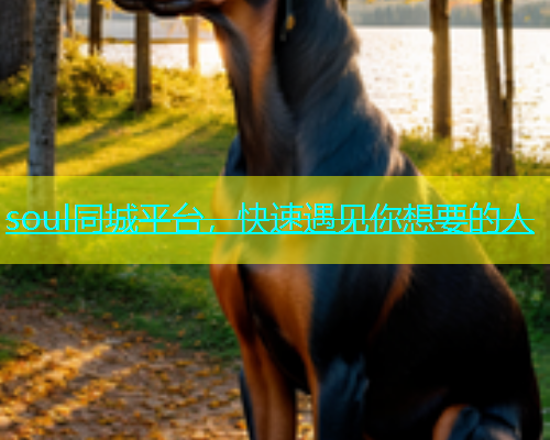 soul同城平台，快速遇见你想要的人