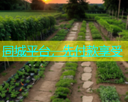 同城平台，先付款享受