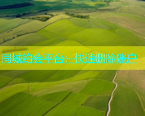 同城约会平台：快速删除账户