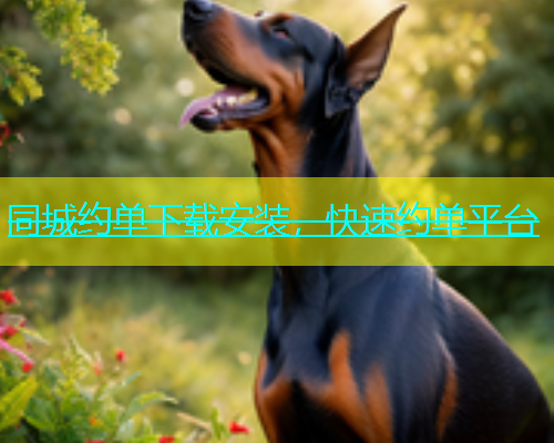 同城约单下载安装，快速约单平台