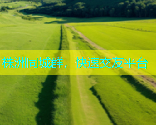 株洲同城群，快速交友平台