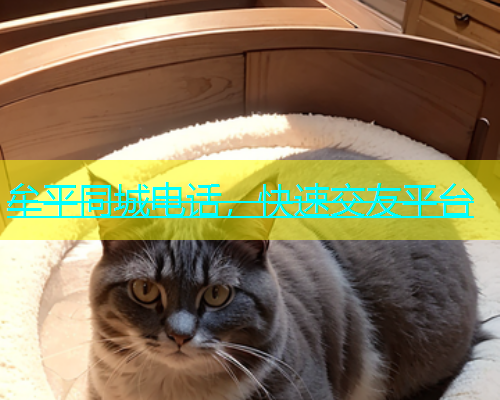 牟平同城电话，快速交友平台