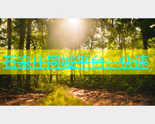 石家庄同城平台：快速