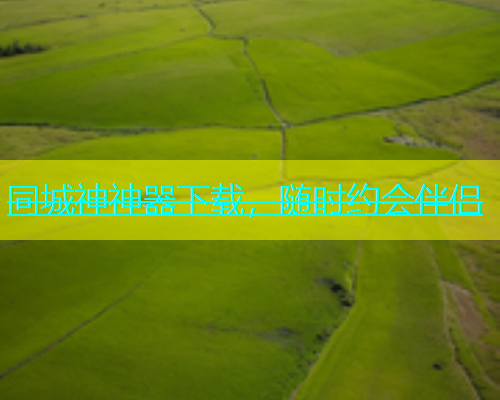 同城神神器下载，随时约会伴侣